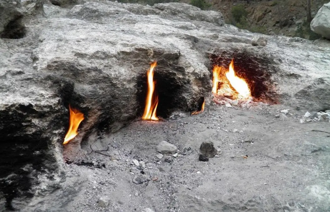 night safari with olympos fire (6)